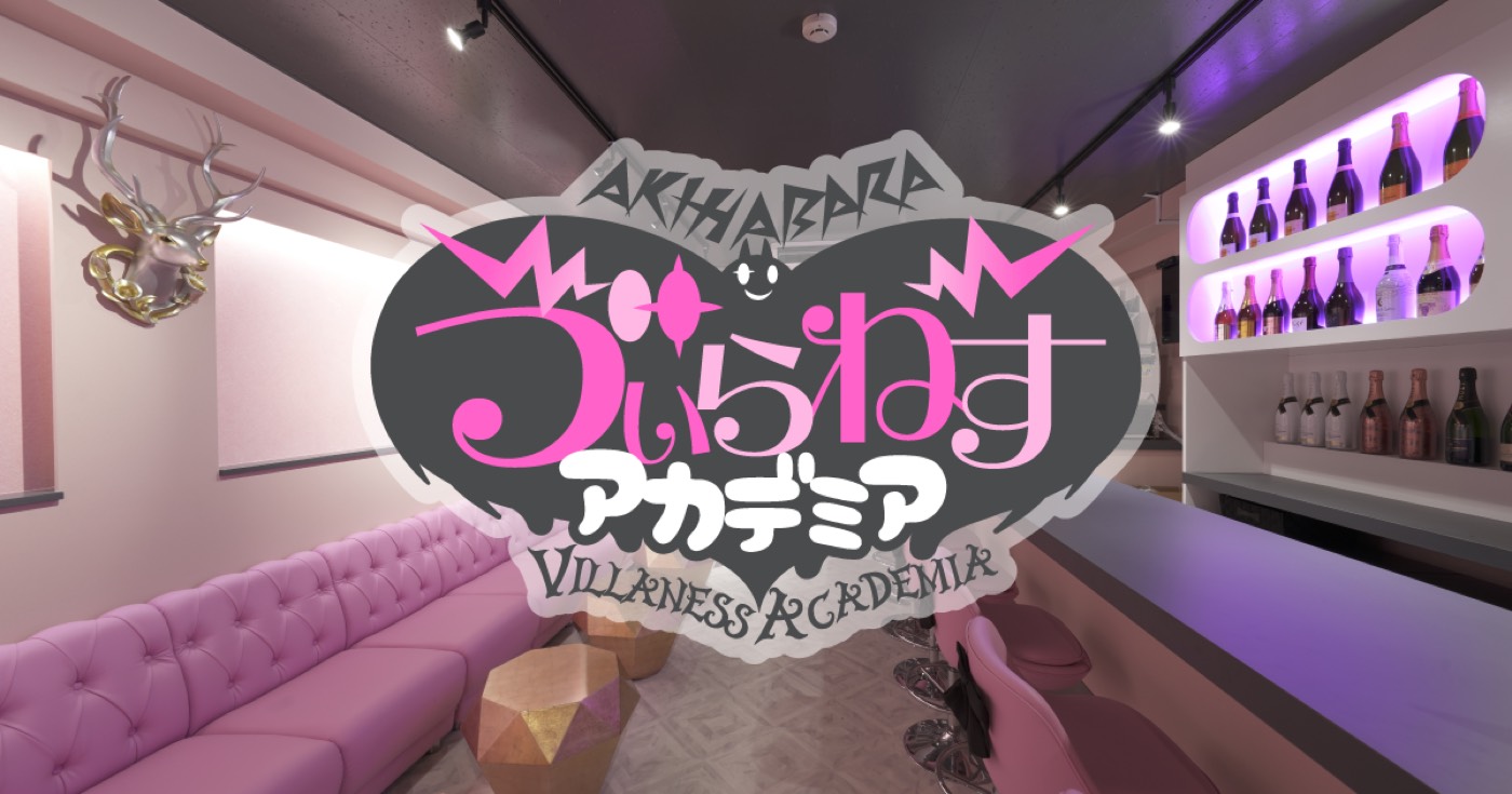 ゔぃらねすアカデミアのイメージ